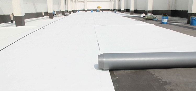 Thermoplastic Polyolefin Roofing Downey